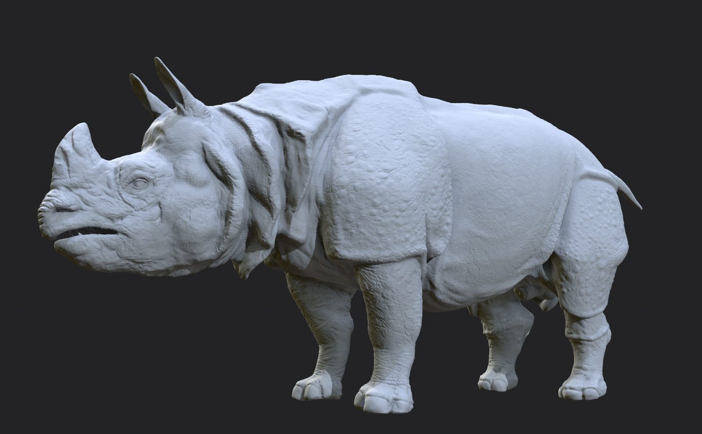 Indian Rhinoceros - Sculpt 3D model_14