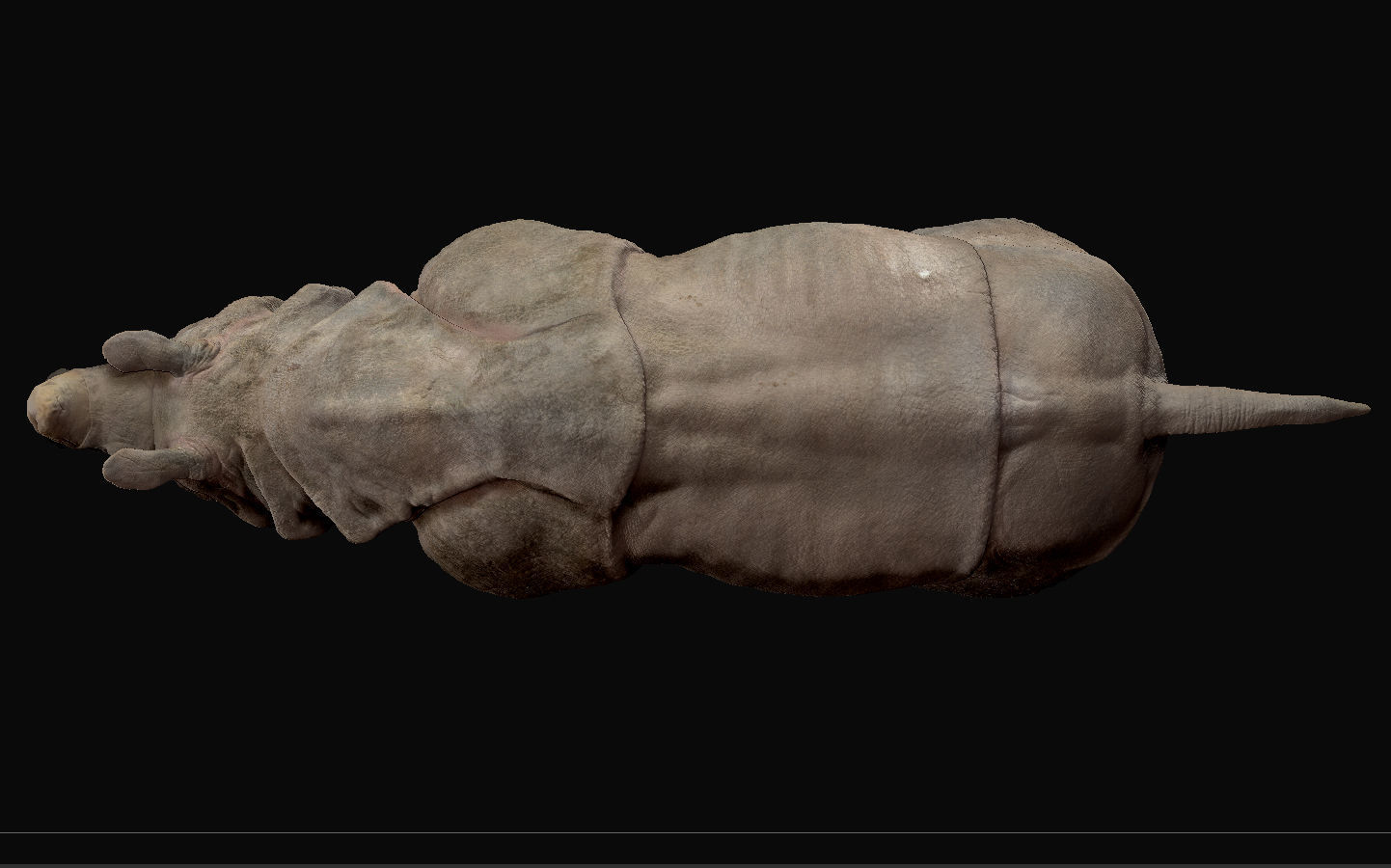 Indian Rhinoceros - Sculpt 3D model_4