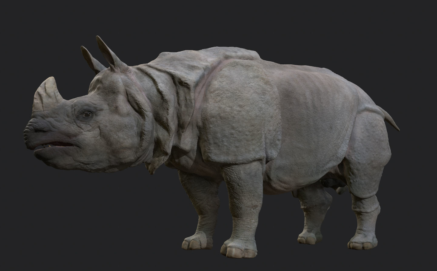 Indian Rhinoceros - Sculpt 3D model_12