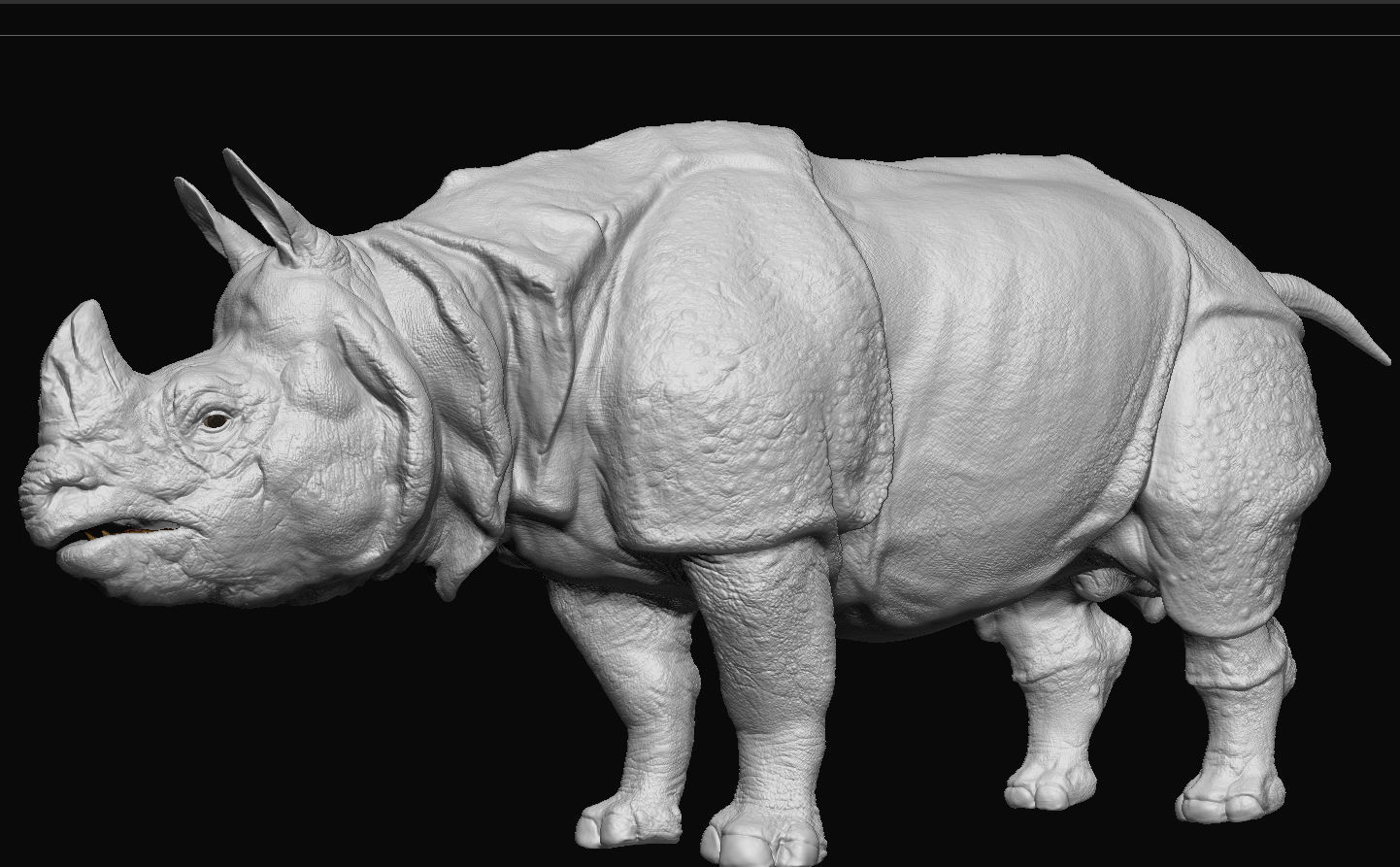 Indian Rhinoceros - Sculpt 3D model_7