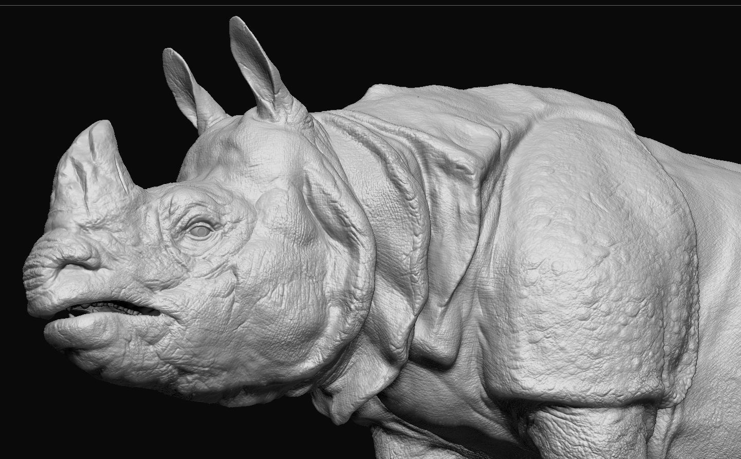 Indian Rhinoceros - Sculpt 3D model_6