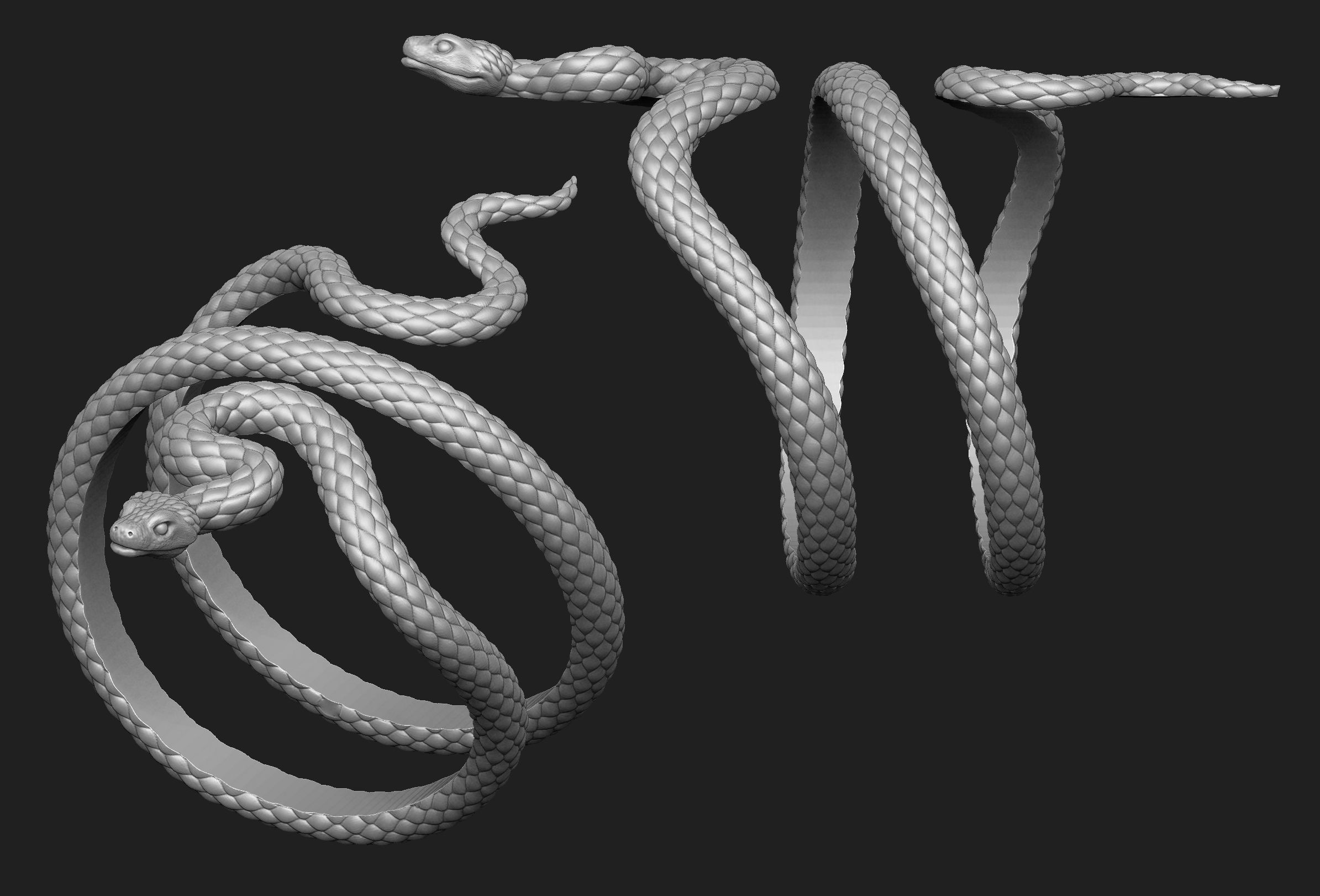 Snake bracelet 2 thickness variants 3D Model Collection_4