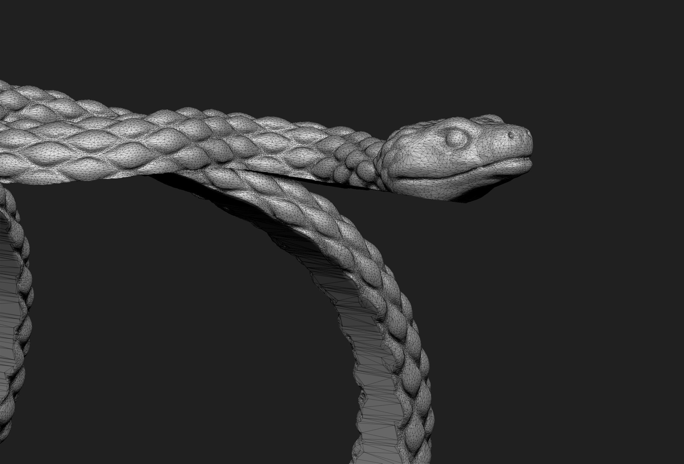Snake bracelet 2 thickness variants 3D Model Collection_10