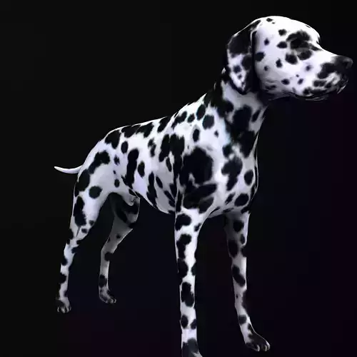 Dog model dalmatian Low-poly 3D model