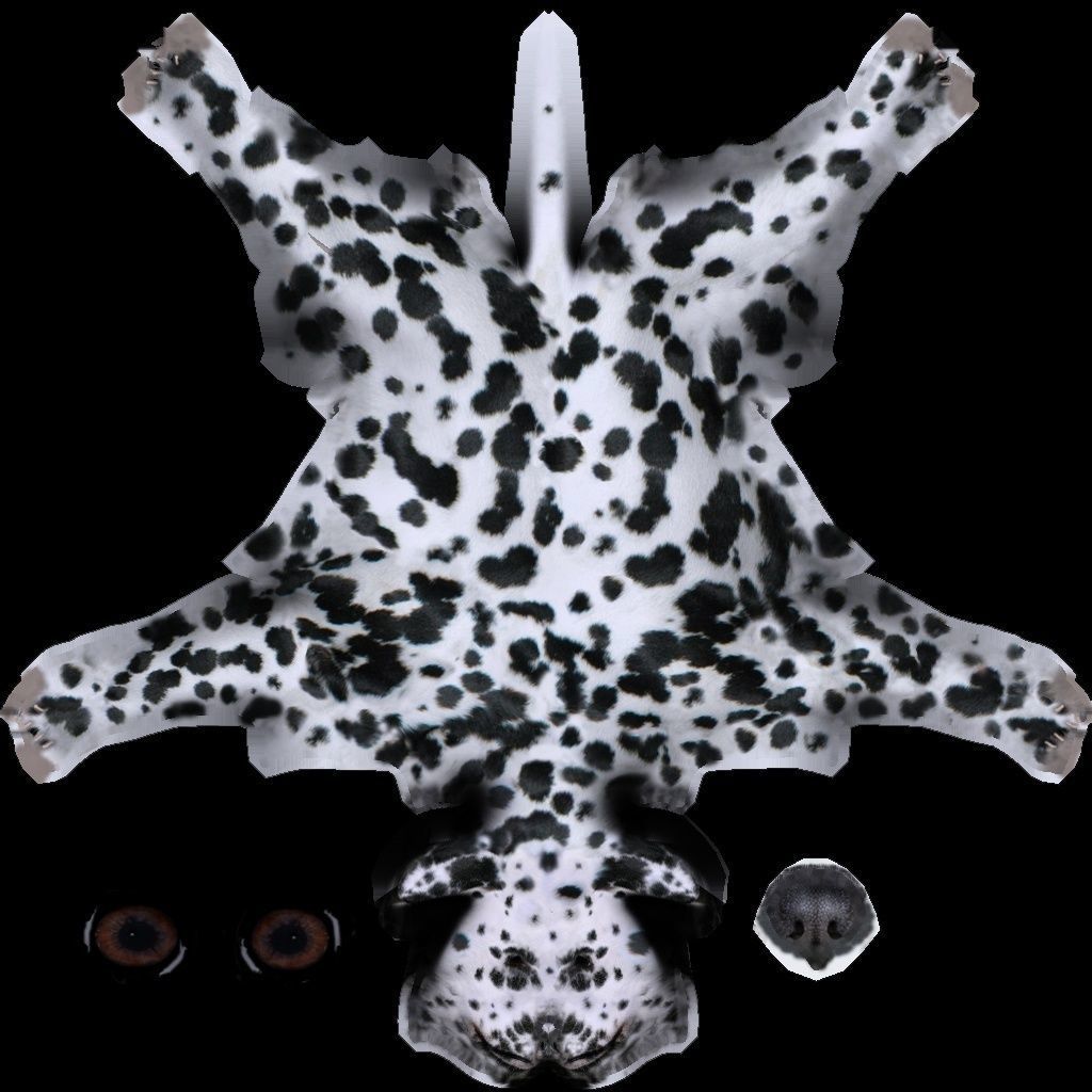 Dog model dalmatian Low-poly 3D model_10