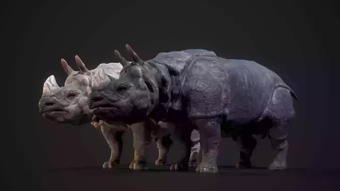 Indian Rhinoceros Low-poly 3D model