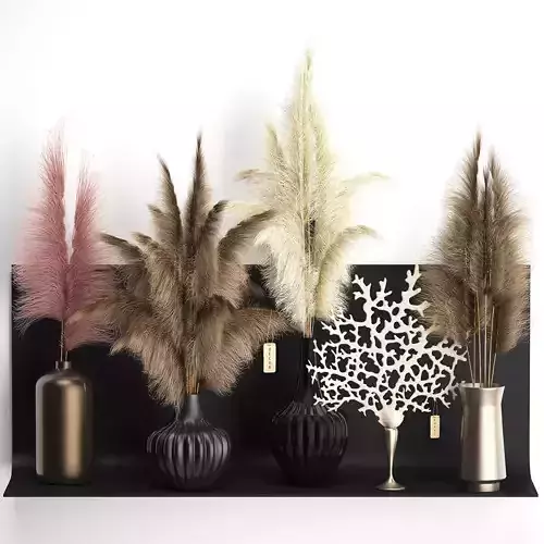 dry reed shelf decor collection 3D model