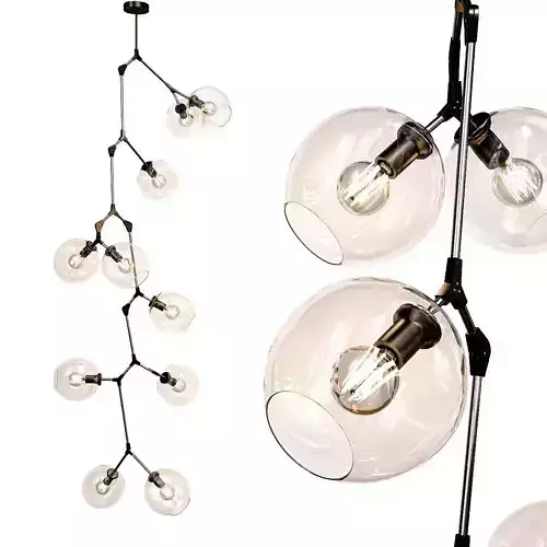 FAIRFAX fruit hanging from branch