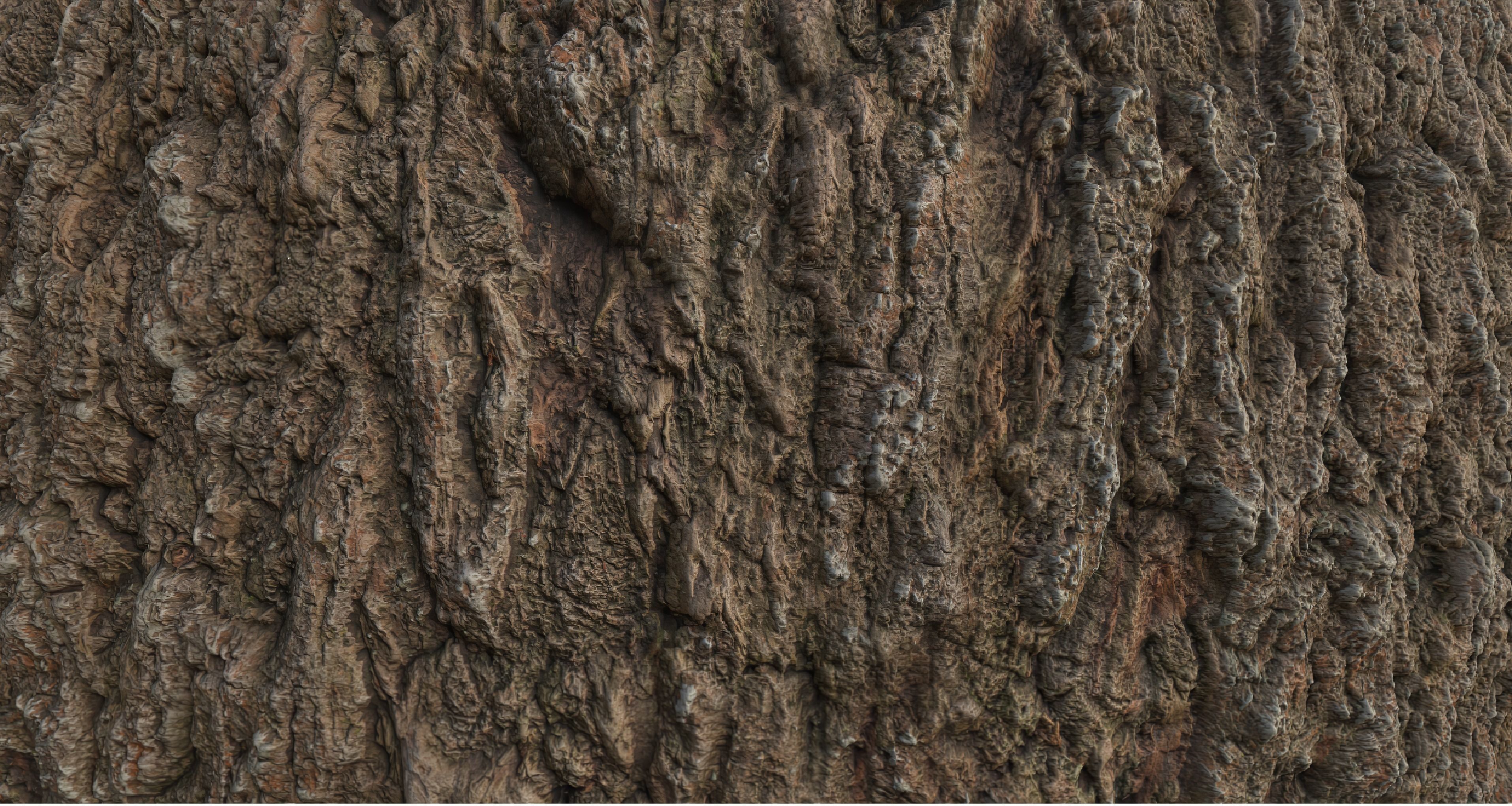 Tree Bark 001 Material Texture_1