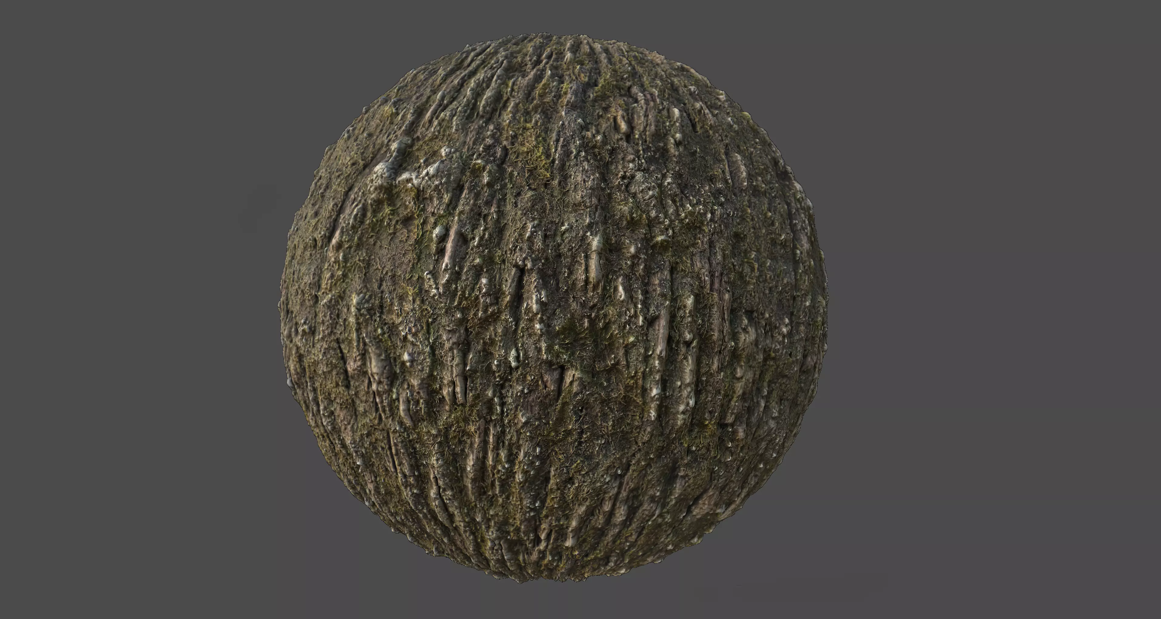 Tree Bark 003 Material Texture_0