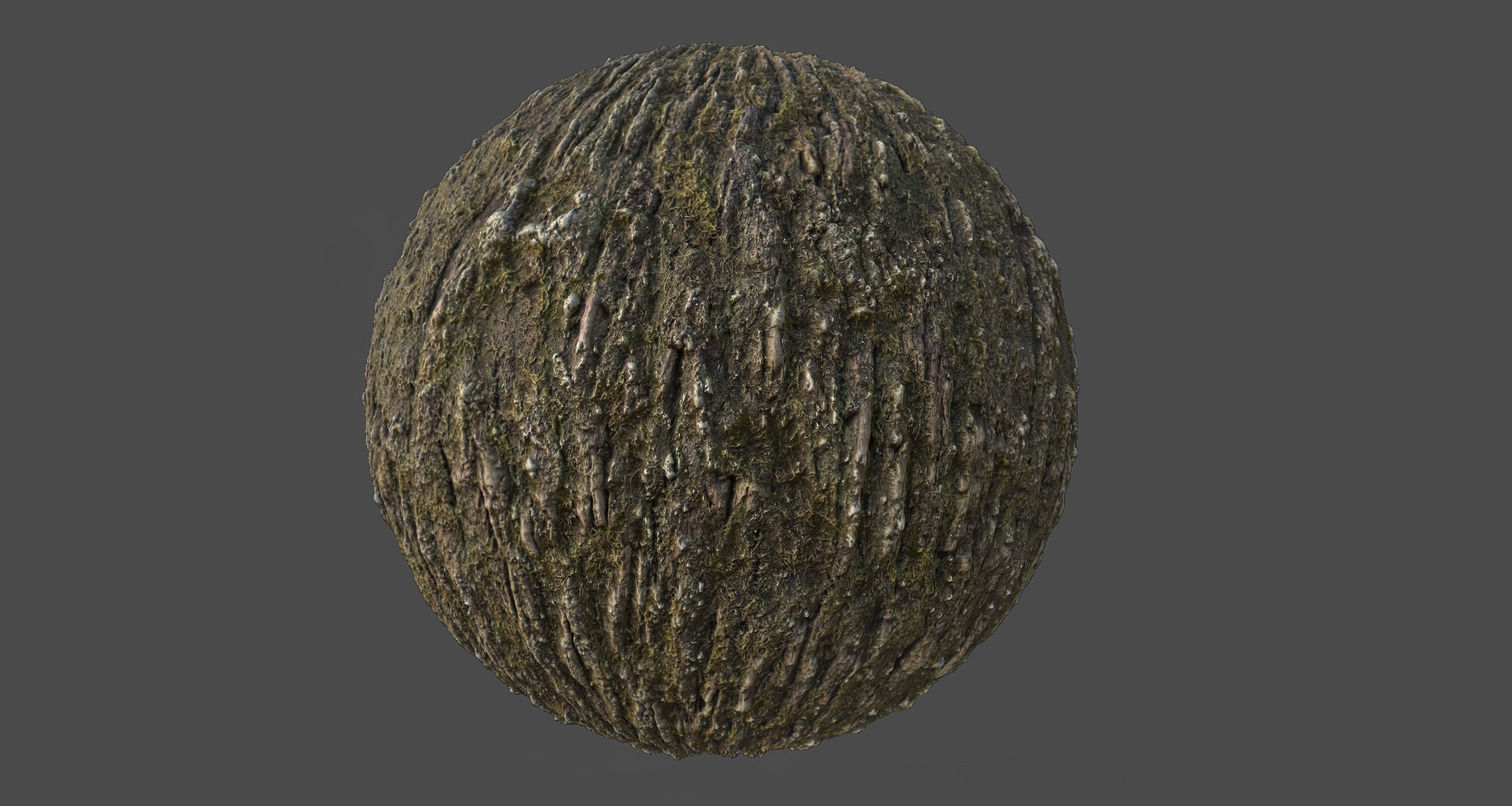 Tree Bark 003 Material Texture_1