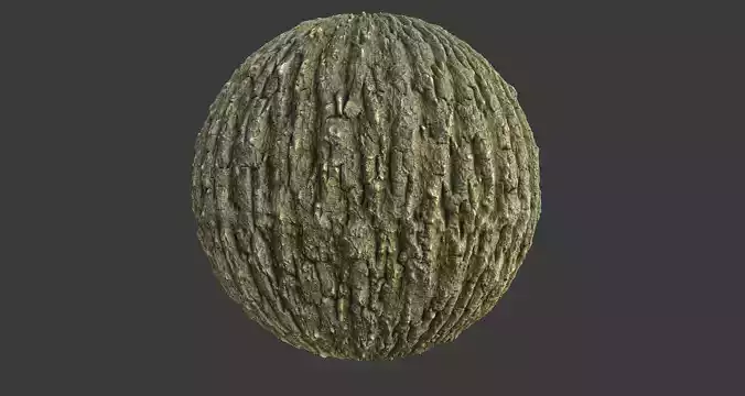 Tree Bark 005 Material Texture
