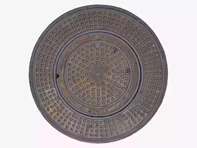 Sewer Cover - 16K Scan