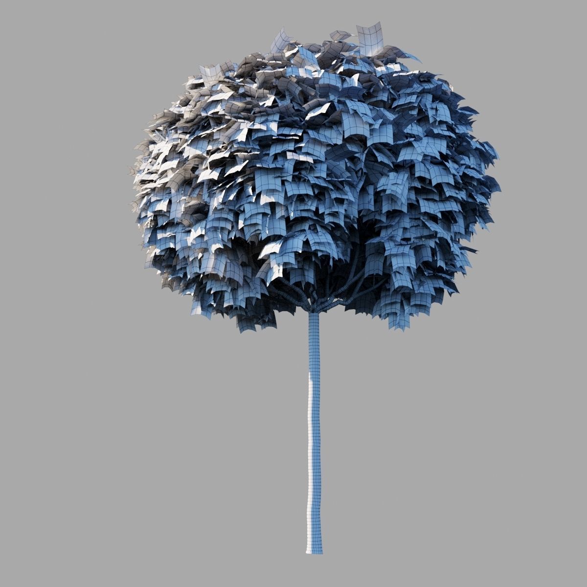 Acer platanoides Globosum 3D model_9