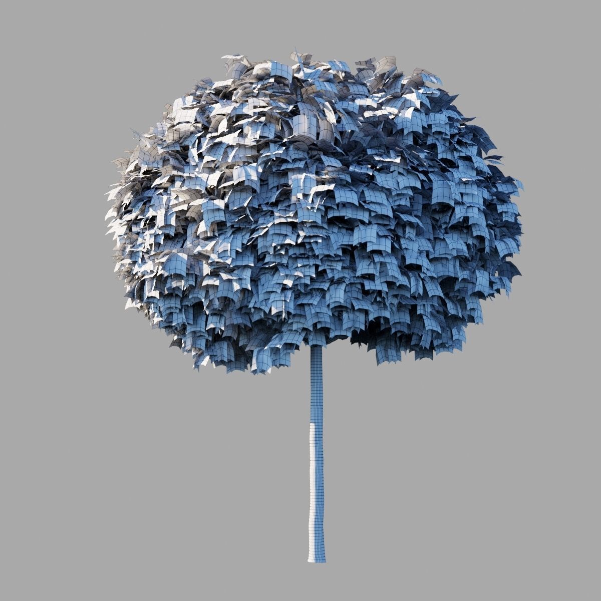 Acer platanoides Globosum 3D model_10