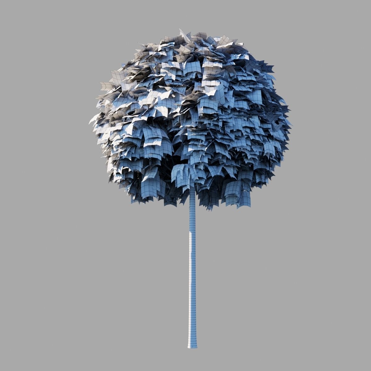 Acer platanoides Globosum 3D model_8