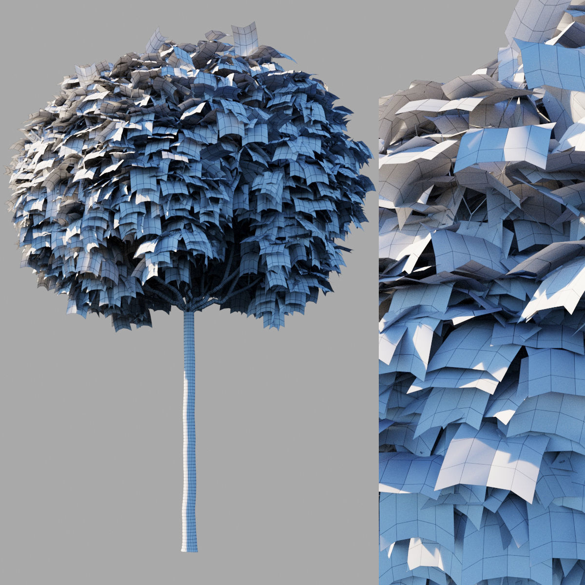 Acer platanoides Globosum 3D model_11