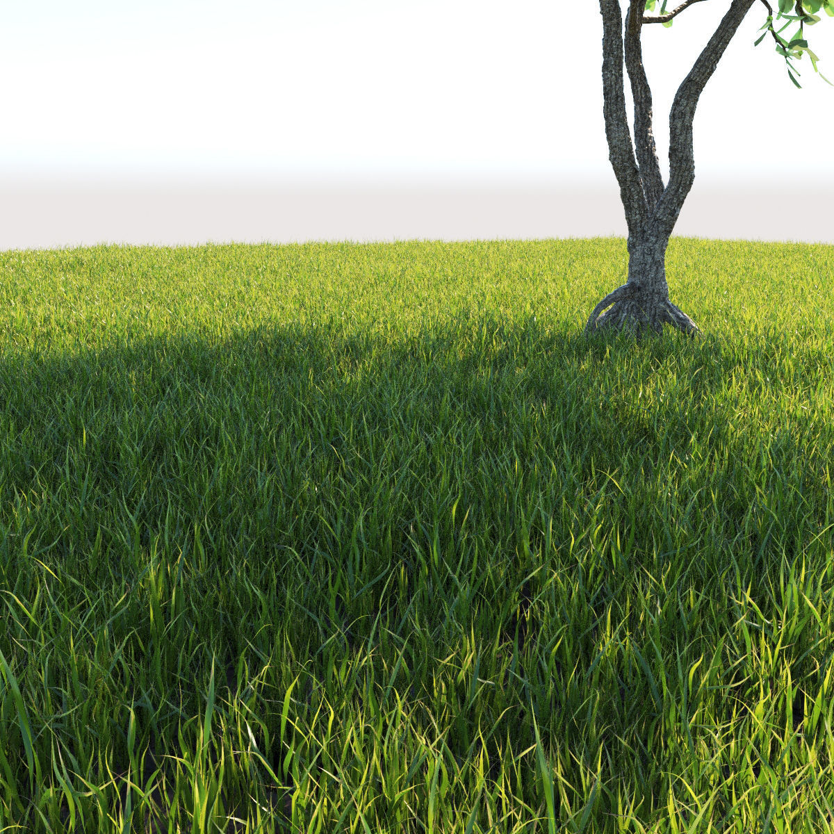 wild grass pack 650 3D model_2