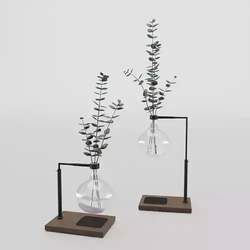 Eucalyptus In Laboratorium Round Jar 3D model