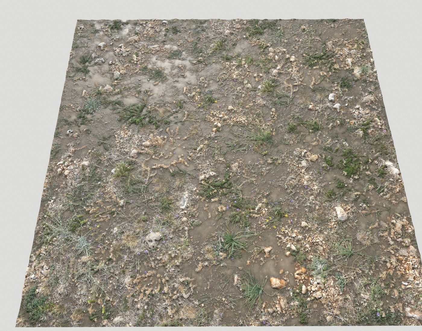 Ground terrain forest tundra PBR pack 2 Texture_17