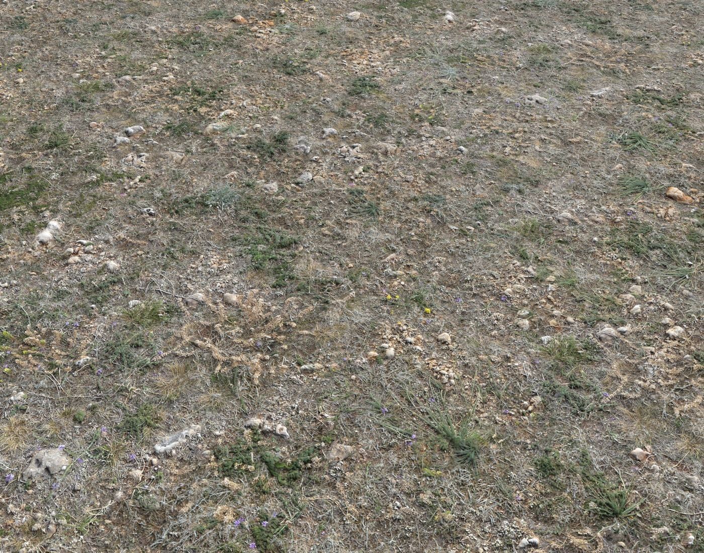 Ground terrain forest tundra PBR pack 2 Texture_6