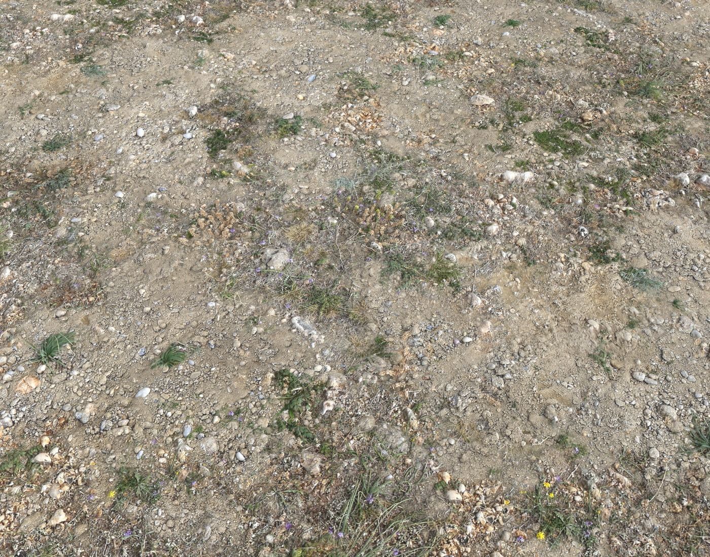 Ground terrain forest tundra PBR pack 2 Texture_4
