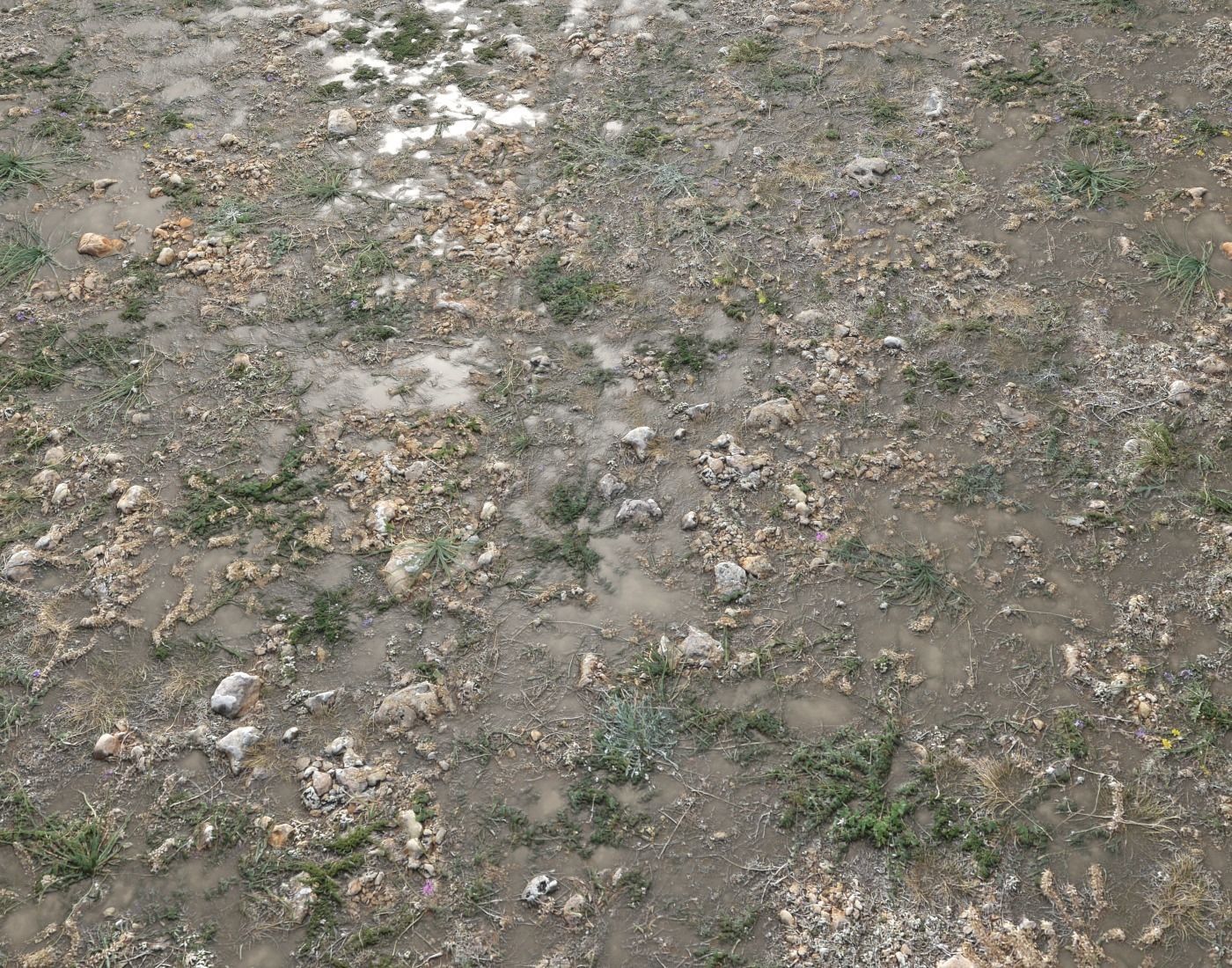 Ground terrain forest tundra PBR pack 2 Texture_16