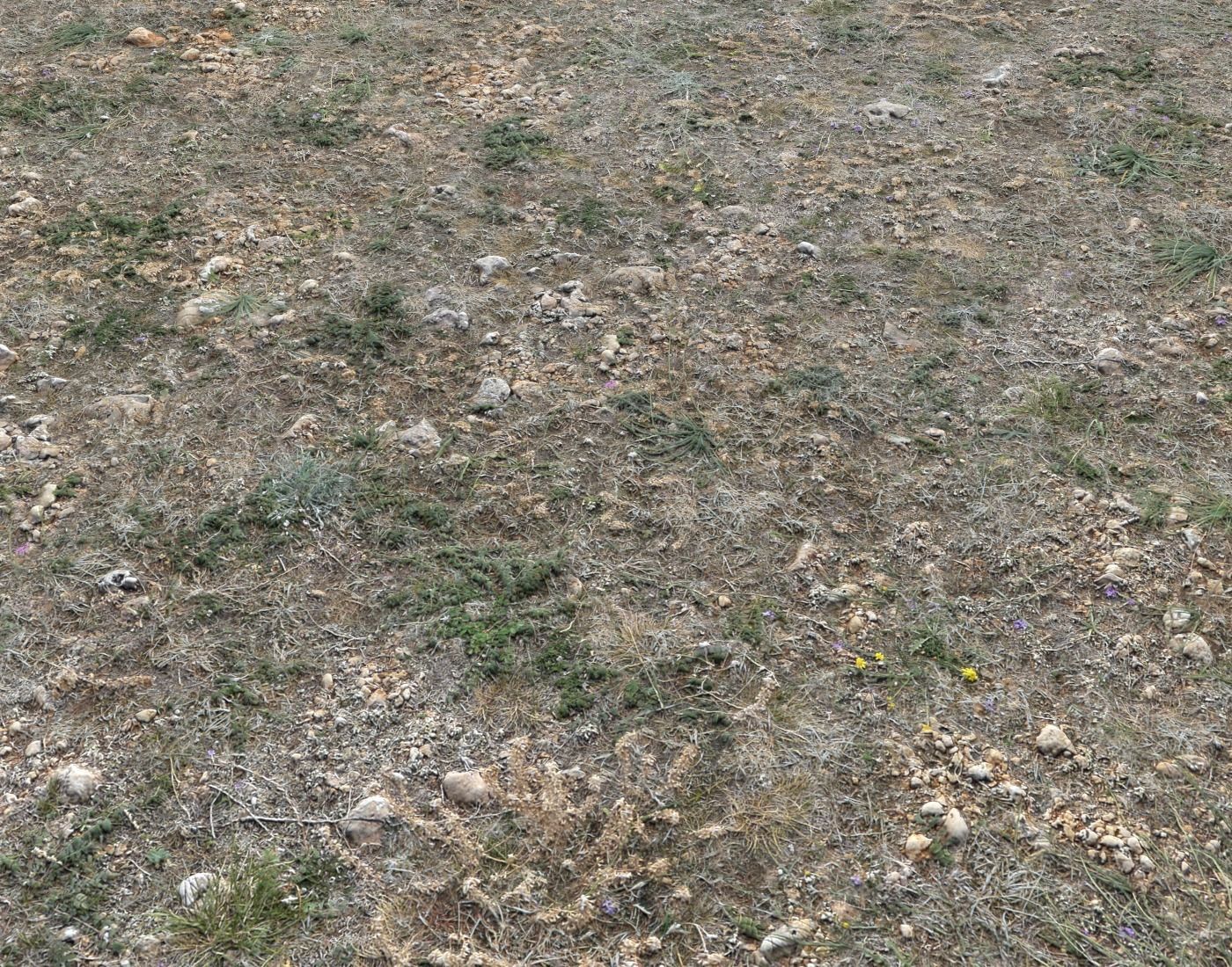 Ground terrain forest tundra PBR pack 2 Texture_9
