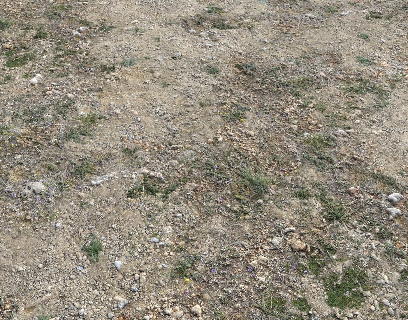 Ground terrain forest tundra PBR pack 2 Texture_2