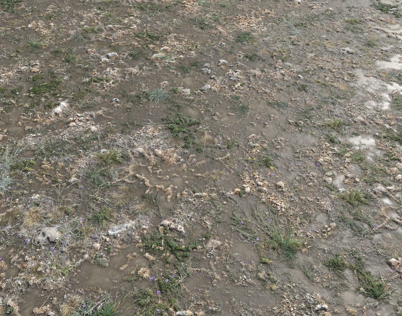 Ground terrain forest tundra PBR pack 2 Texture_13