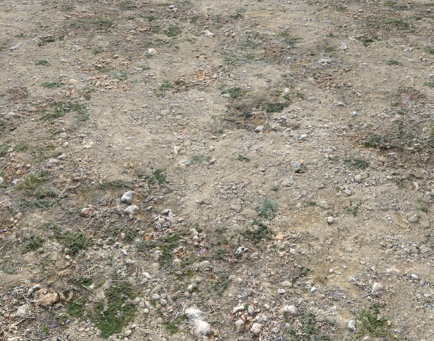 Ground terrain forest tundra PBR pack 2 Texture_5