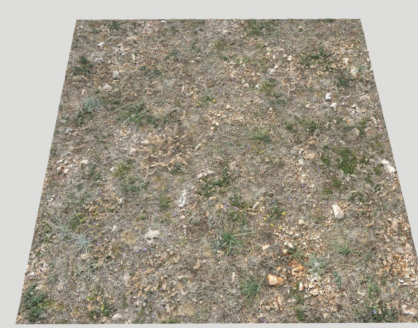 Ground terrain forest tundra PBR pack 2 Texture_19