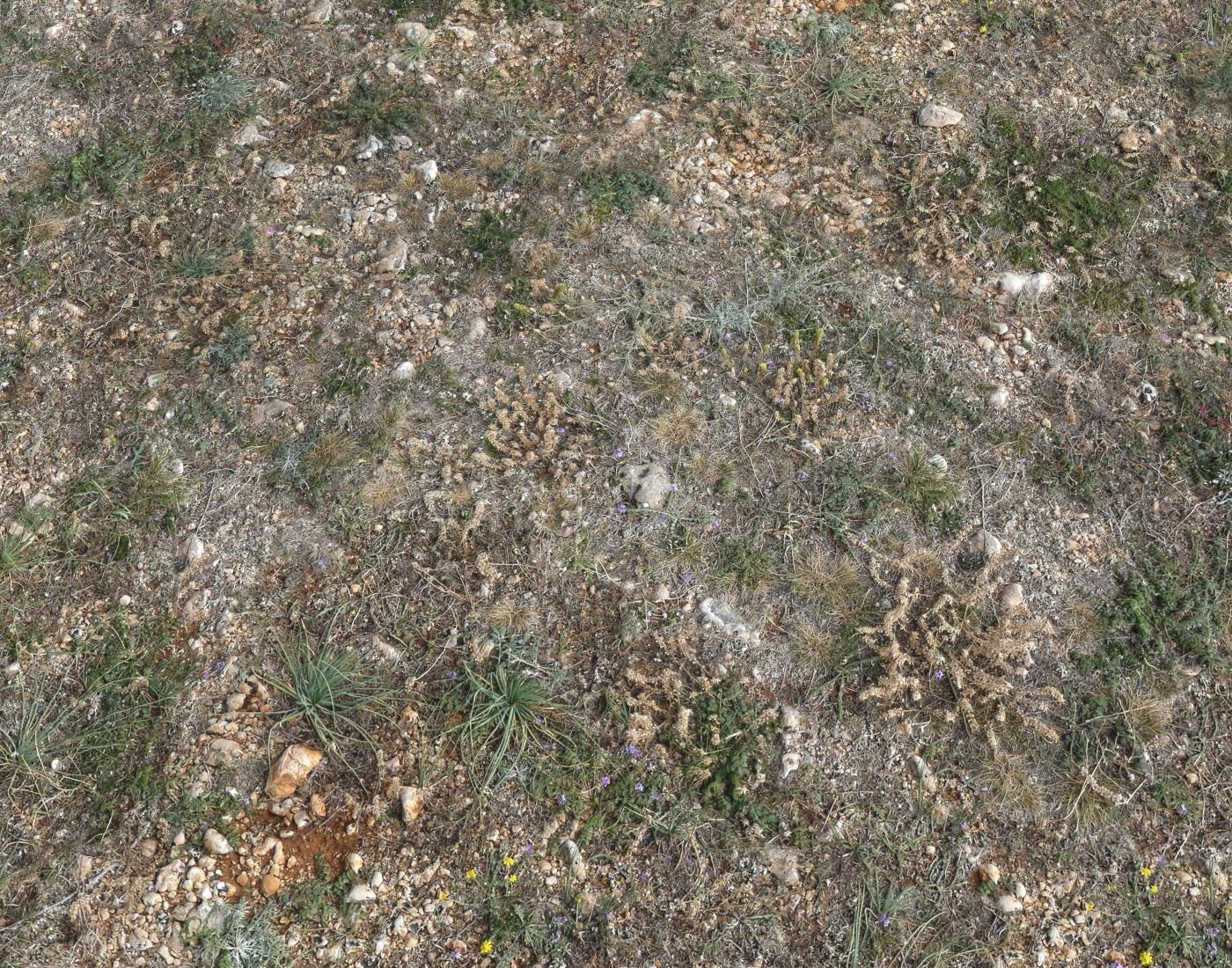 Ground terrain forest tundra PBR pack 2 Texture_11