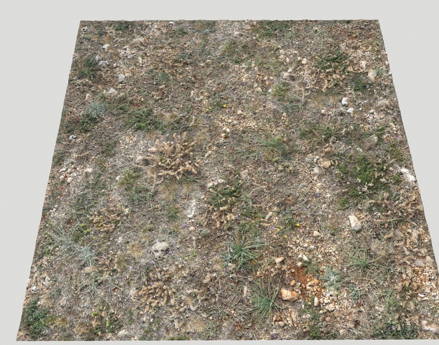 Ground terrain forest tundra PBR pack 2 Texture_18
