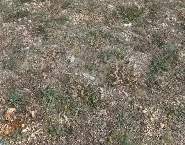 Ground terrain forest tundra PBR pack 2 Texture