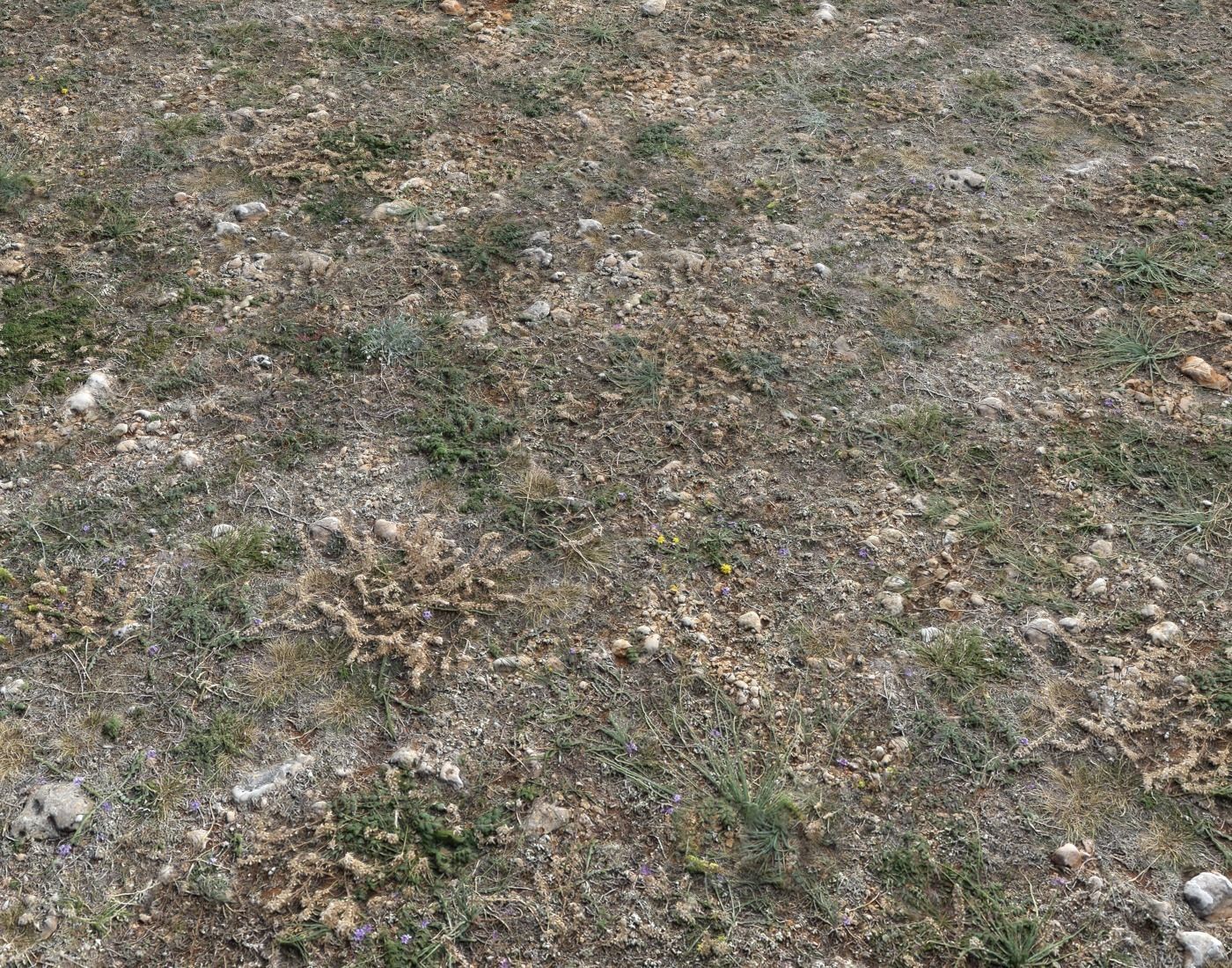 Ground terrain forest tundra PBR pack 2 Texture_10