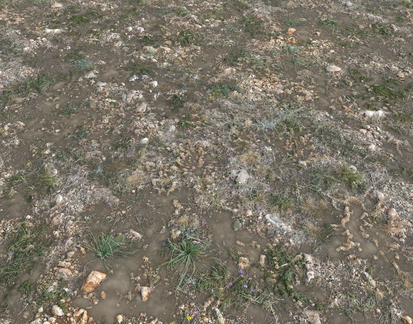 Ground terrain forest tundra PBR pack 2 Texture_15