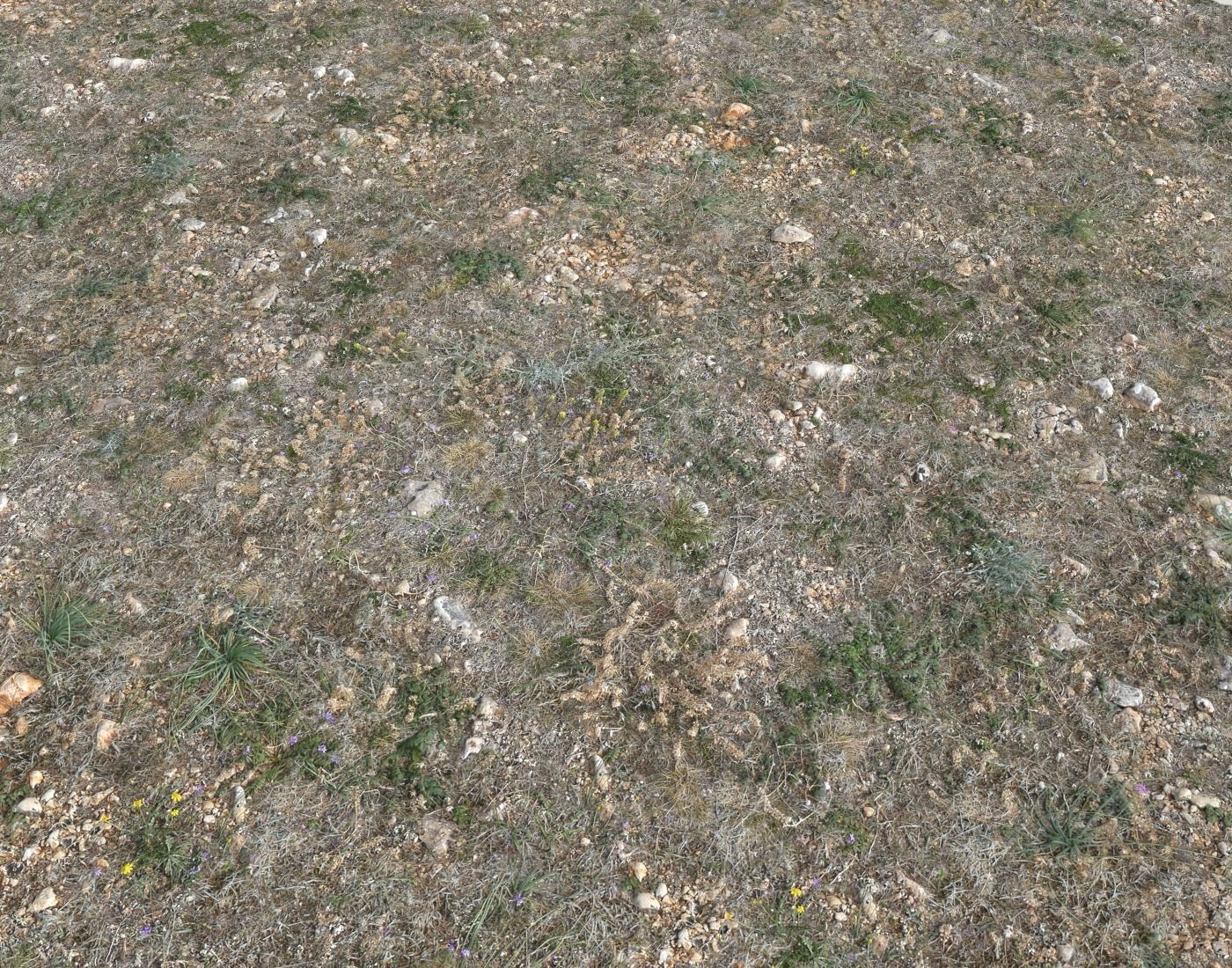 Ground terrain forest tundra PBR pack 2 Texture_8