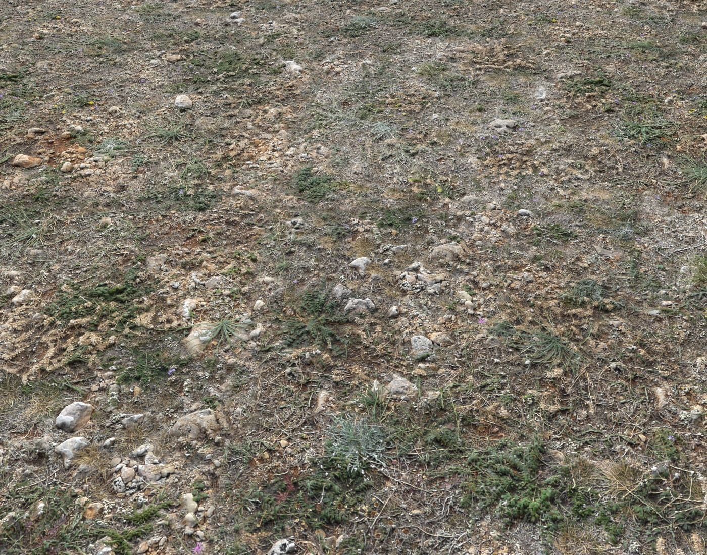 Ground terrain forest tundra PBR pack 2 Texture_12