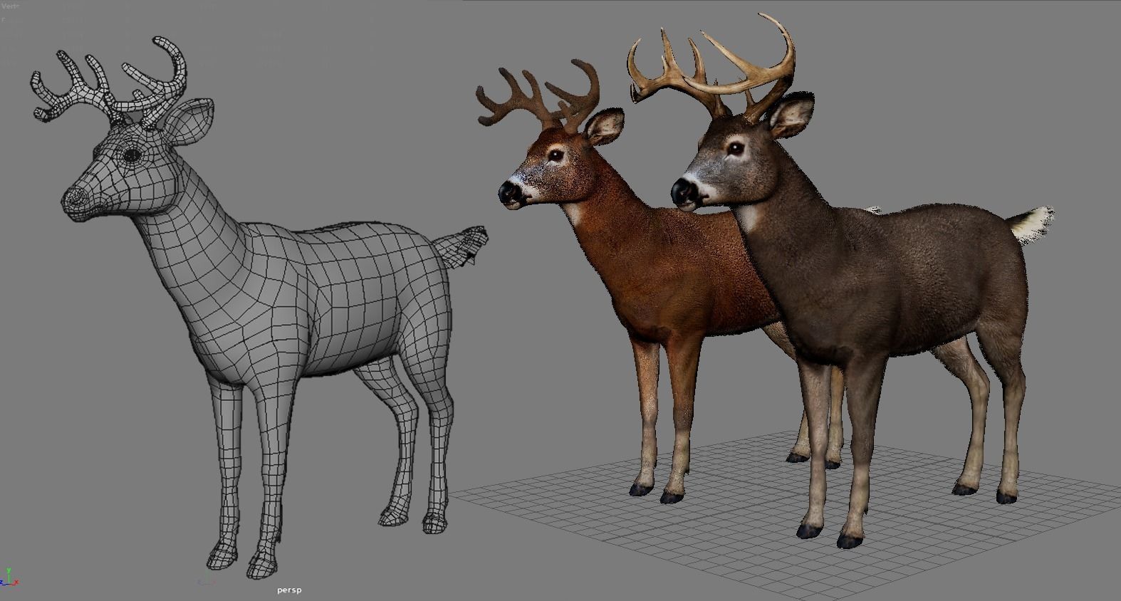 White tailed Buck Rig for Realtime Games and Cinematics Low-poly 3D model_6