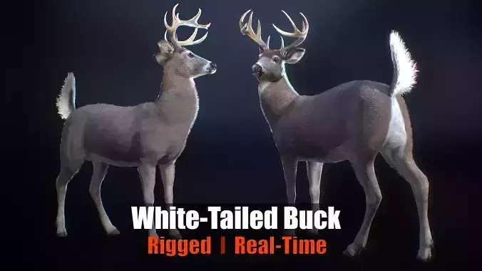 White tailed Buck Rig for Realtime Games and Cinematics Low-poly 3D model