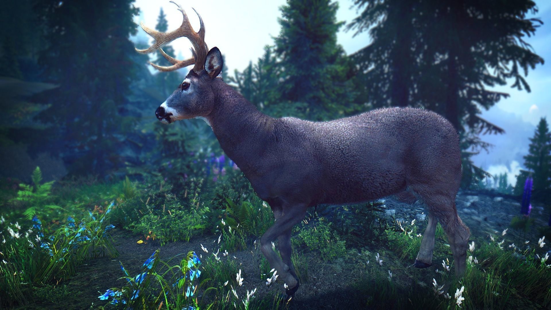 White tailed Buck Rig for Realtime Games and Cinematics Low-poly 3D model_3