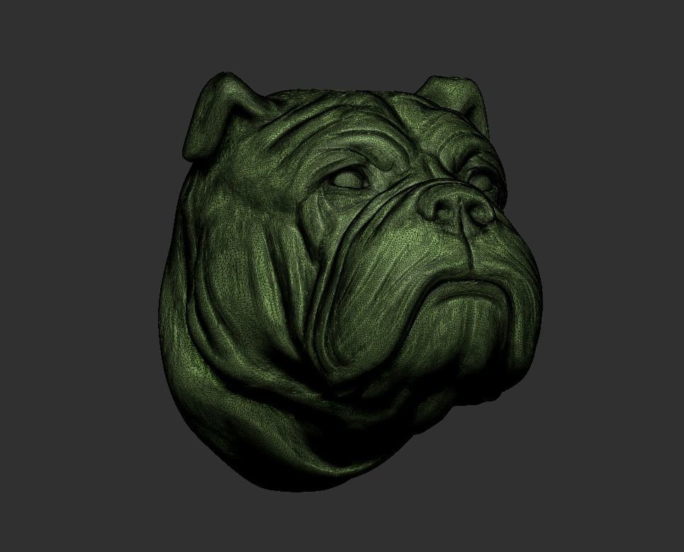 Bulldog Head 3D print model_8