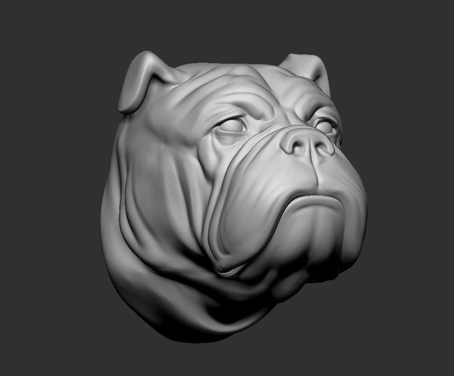 Bulldog Head 3D print model_4