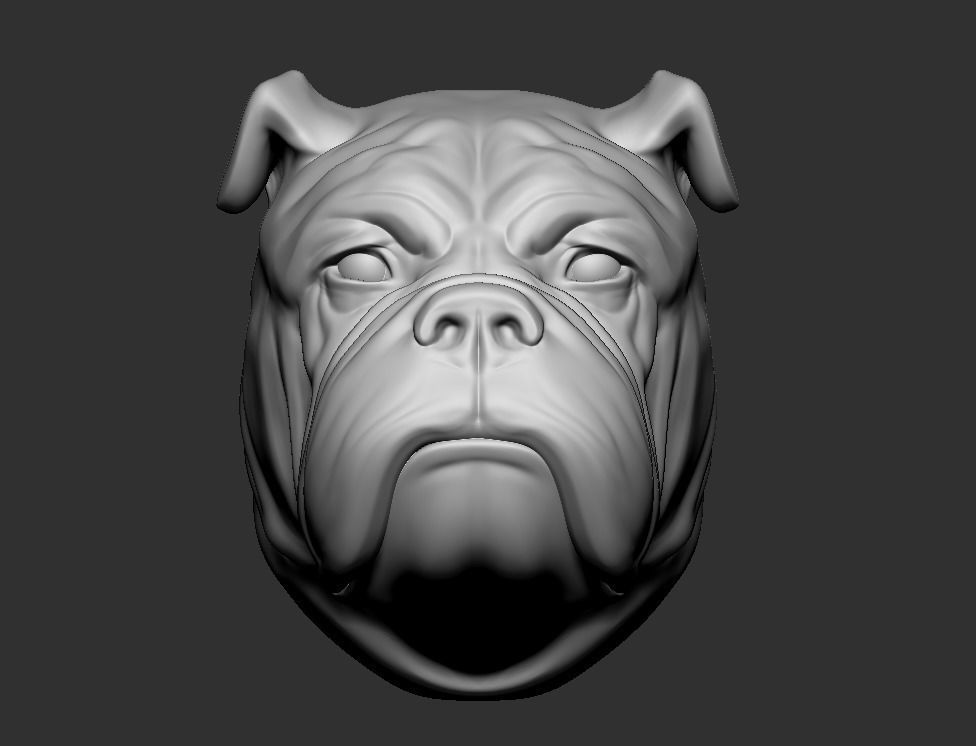 Bulldog Head 3D print model_2