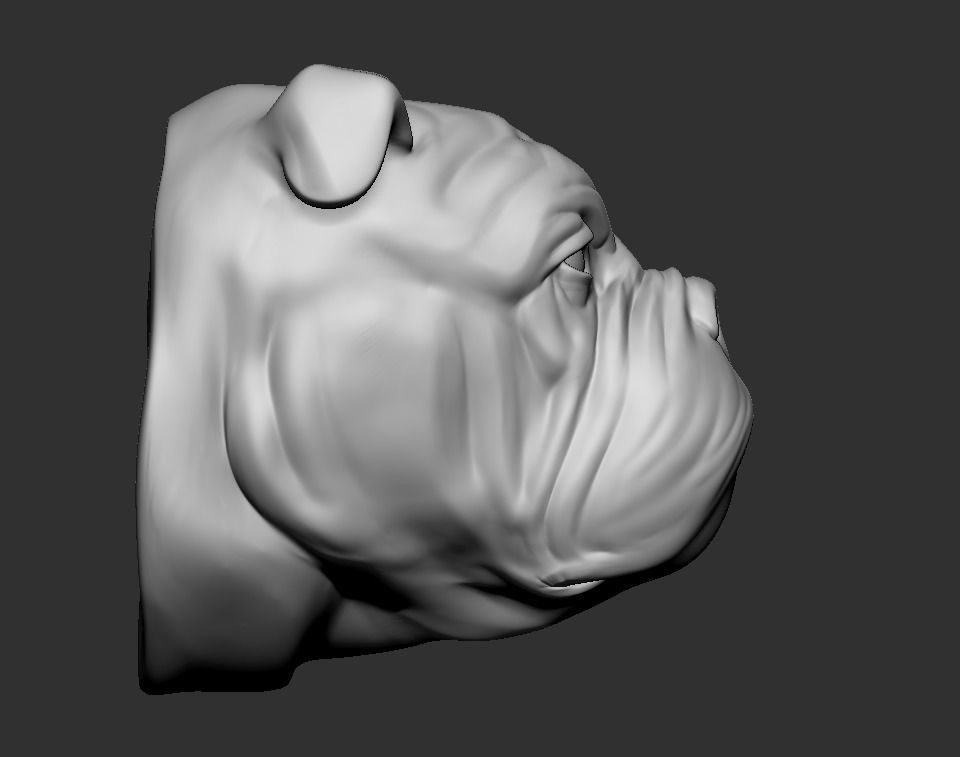 Bulldog Head 3D print model_3