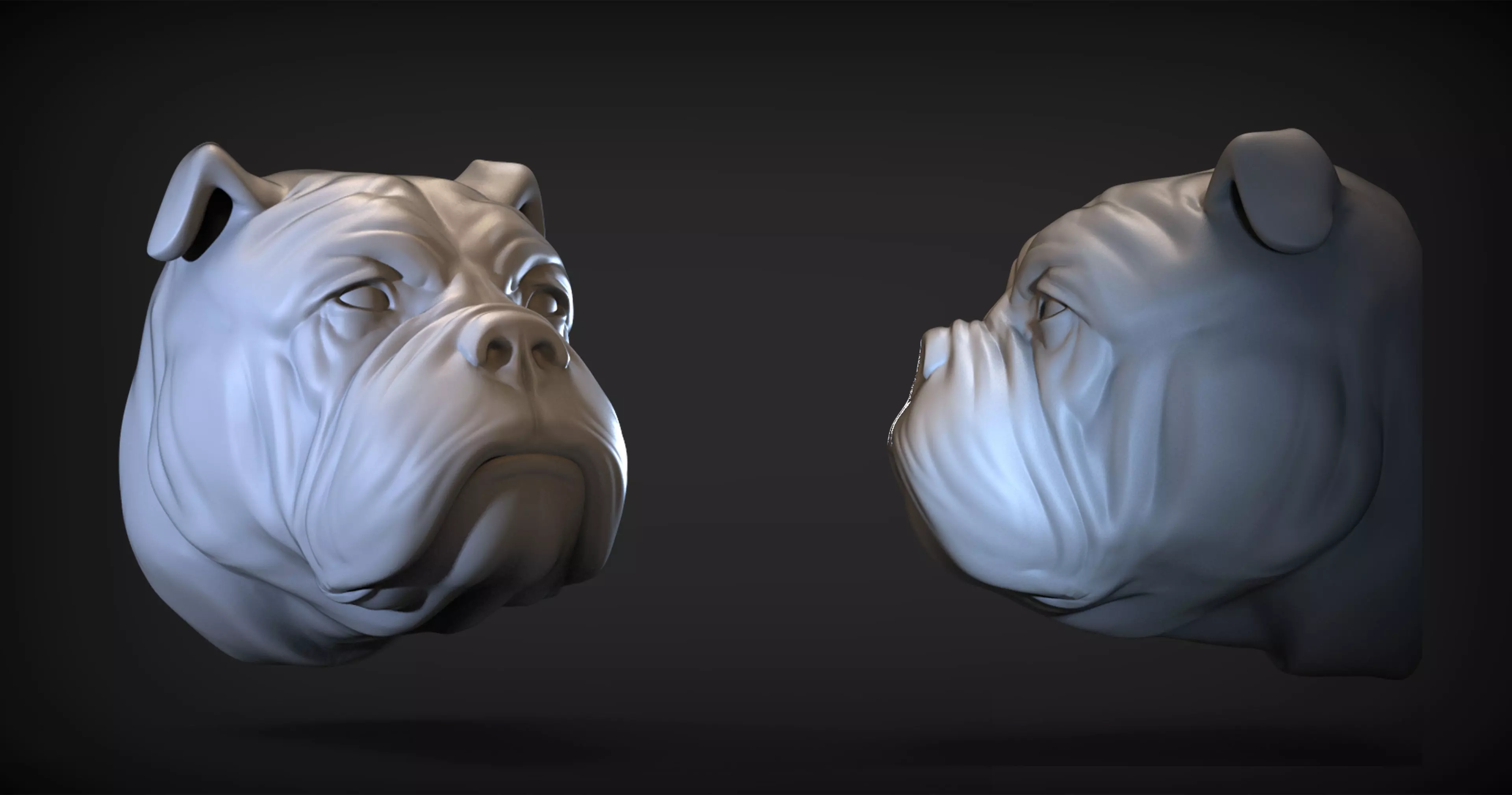 Bulldog Head 3D print model_0