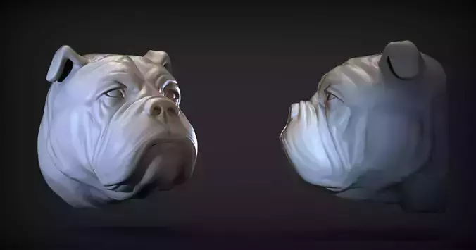 Bulldog Head  3D print model