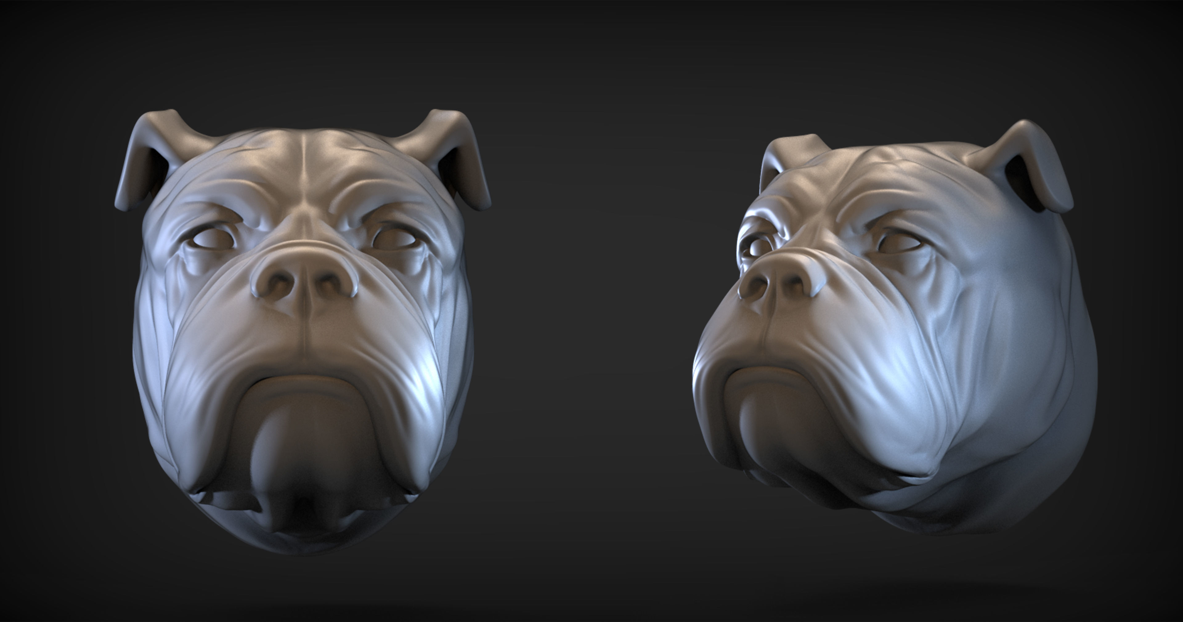 Bulldog Head 3D print model_1