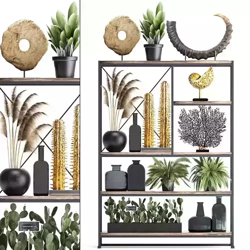 Shelf with reeds and plants coral decor